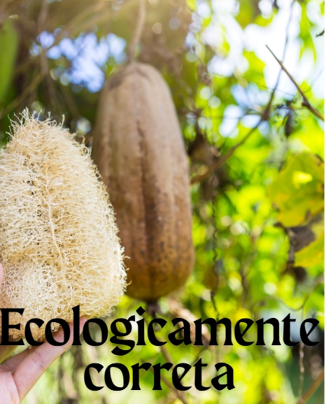 Captura de tela_30-4-2025_20023_elianaconvites.my.canva.site.jpeg